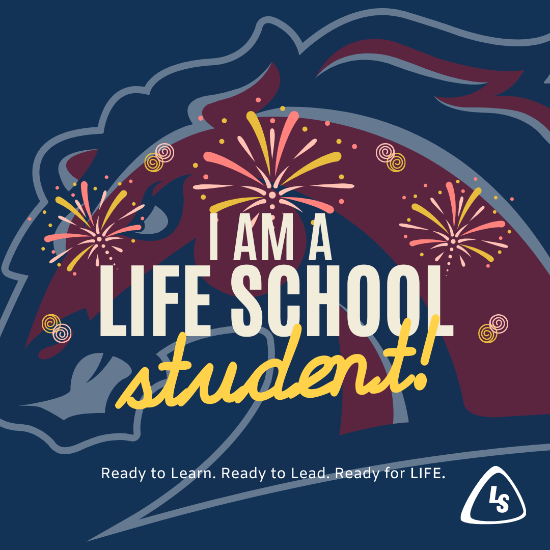 We Are LSRO Student Frame