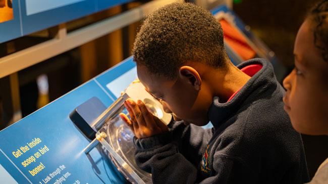 Life School Innovation Academy Expands Student Learning Through Strategic Field Trip and Enrichment Program